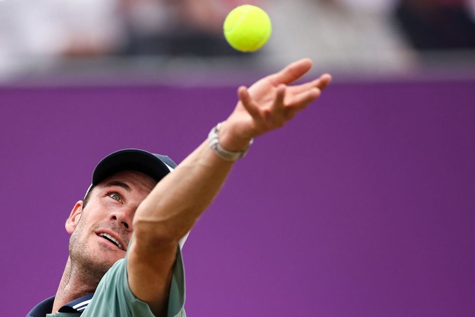 了冷静与专 了冷静与专