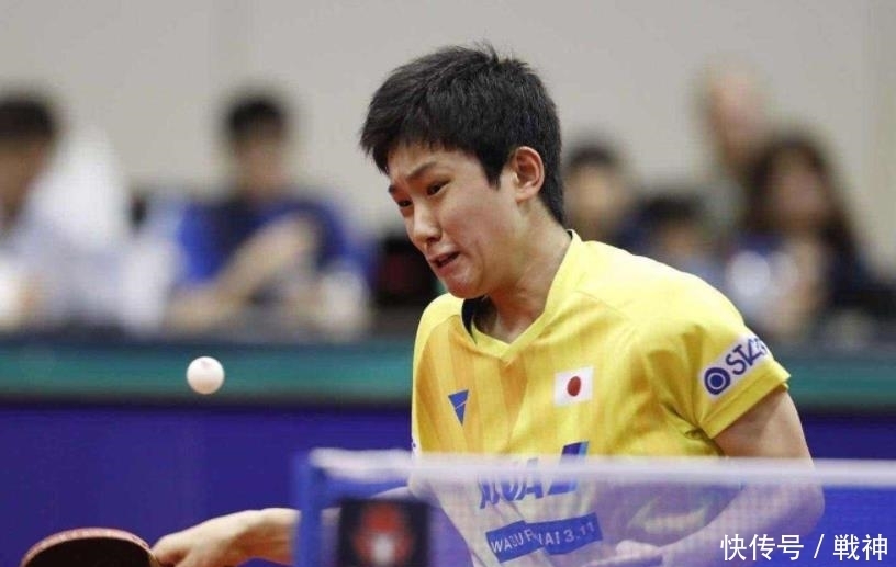 她成功巩固 她成功巩固